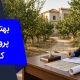 بهترین وکیل تغییر کاربری باغ | وکیل من